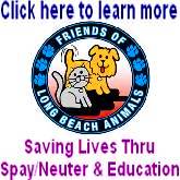 Friends of LB Animals / Play