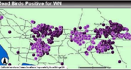 WNV Map 6/18