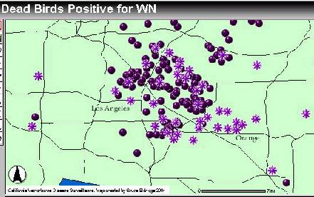 WNV map, 6/25