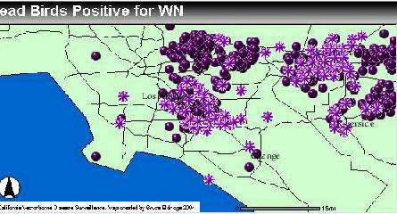 WNV Map 6/25