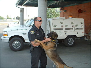 Drago police dog