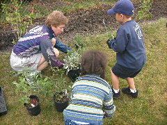Stearns park planting Oct 12/02